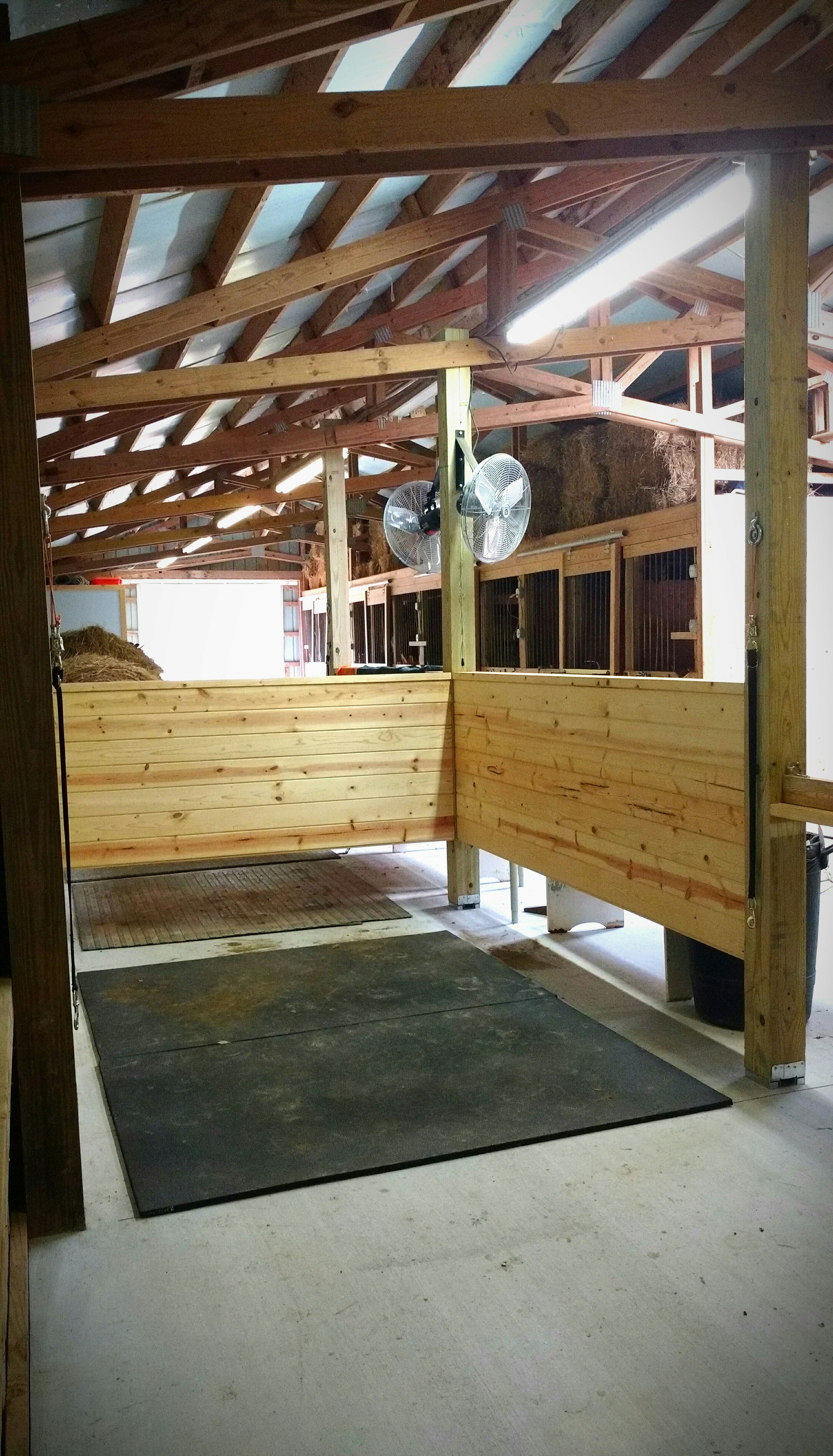 Gallery image 9